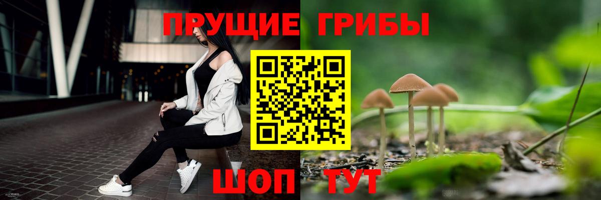 Псилоцибиновые грибы мицелий  купить наркотики сайты  Алейск  Вход с VPN 
